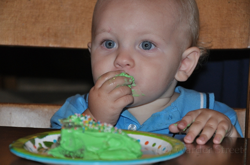 William's 2nd 1st Birthday Party 322.jpg